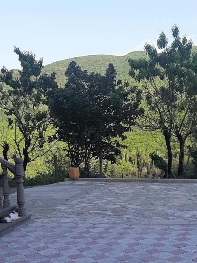 Green Garden Կանաչ Այգի Иджеван Экстерьер фото