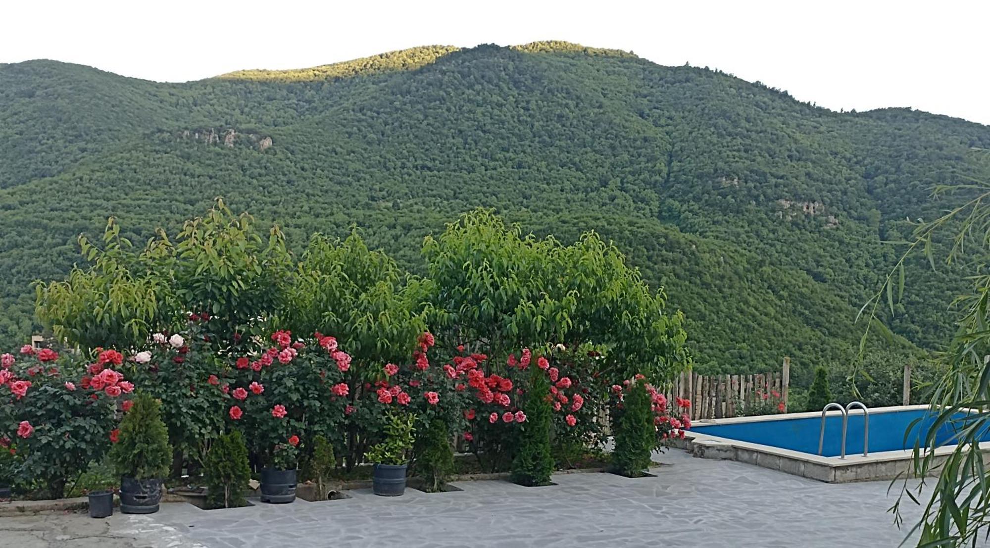 Green Garden Կանաչ Այգի Иджеван Экстерьер фото