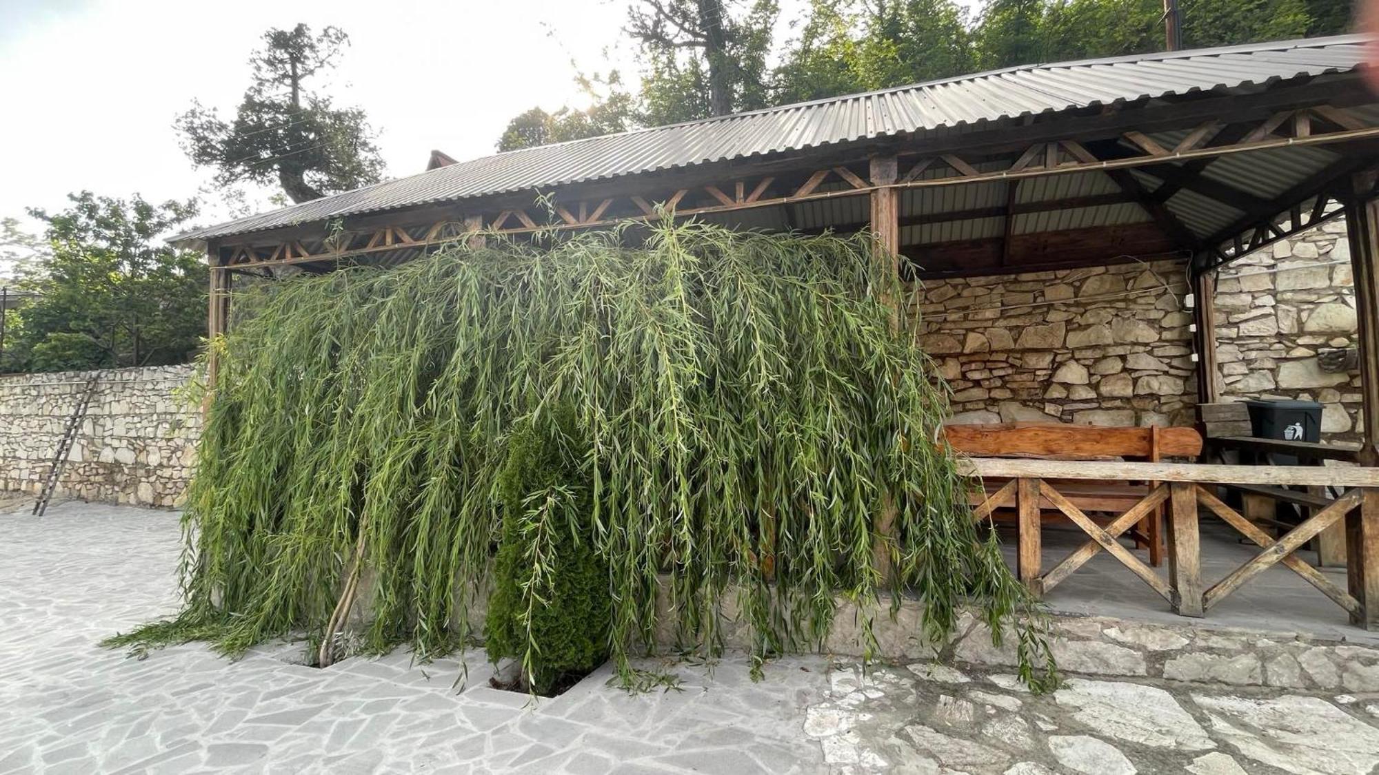 Green Garden Կանաչ Այգի Иджеван Экстерьер фото