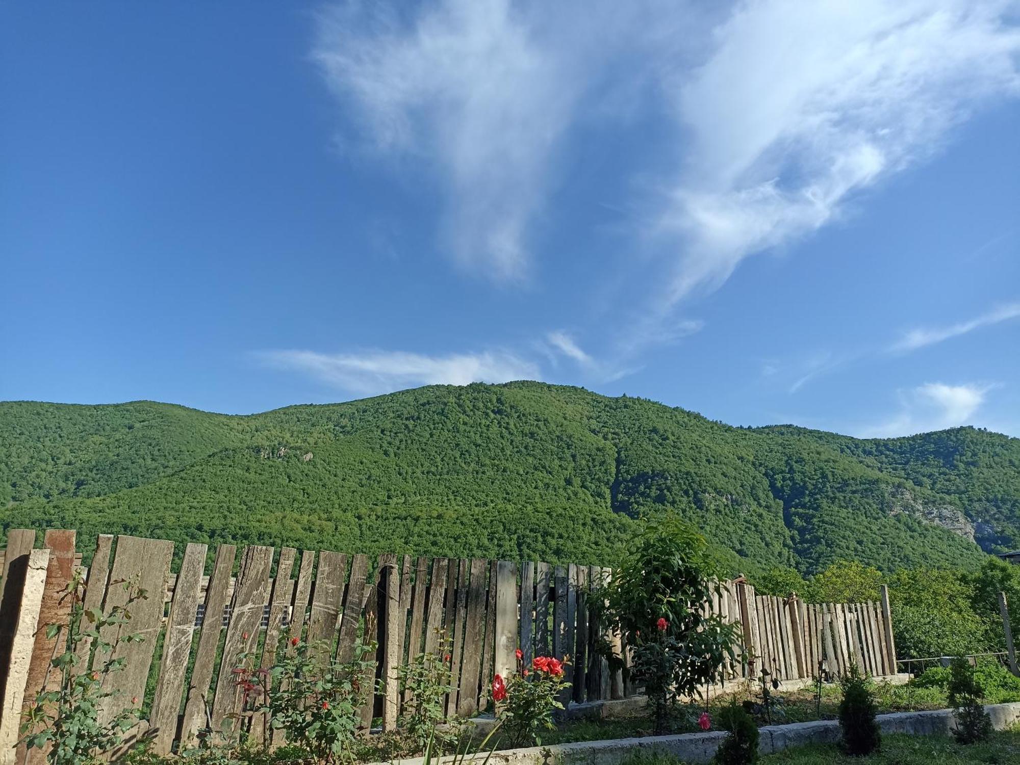Green Garden Կանաչ Այգի Иджеван Экстерьер фото