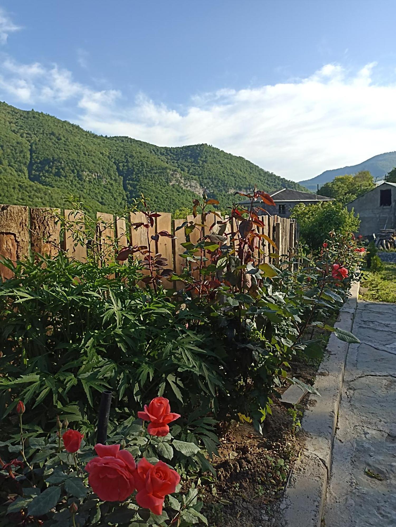 Green Garden Կանաչ Այգի Иджеван Экстерьер фото