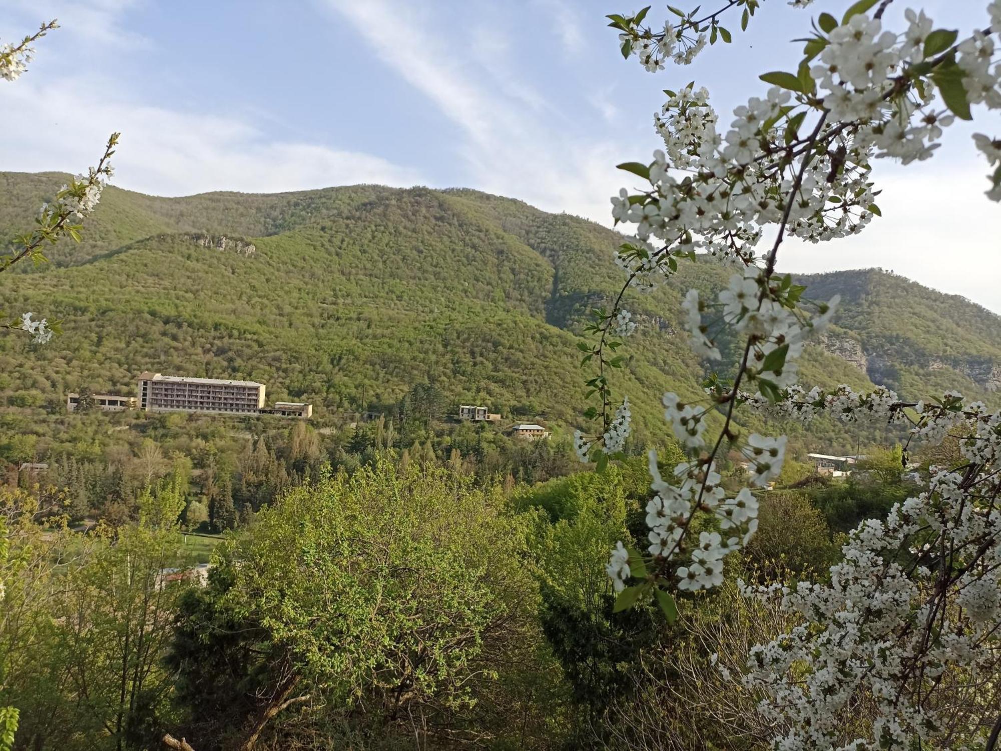 Green Garden Կանաչ Այգի Иджеван Номер фото